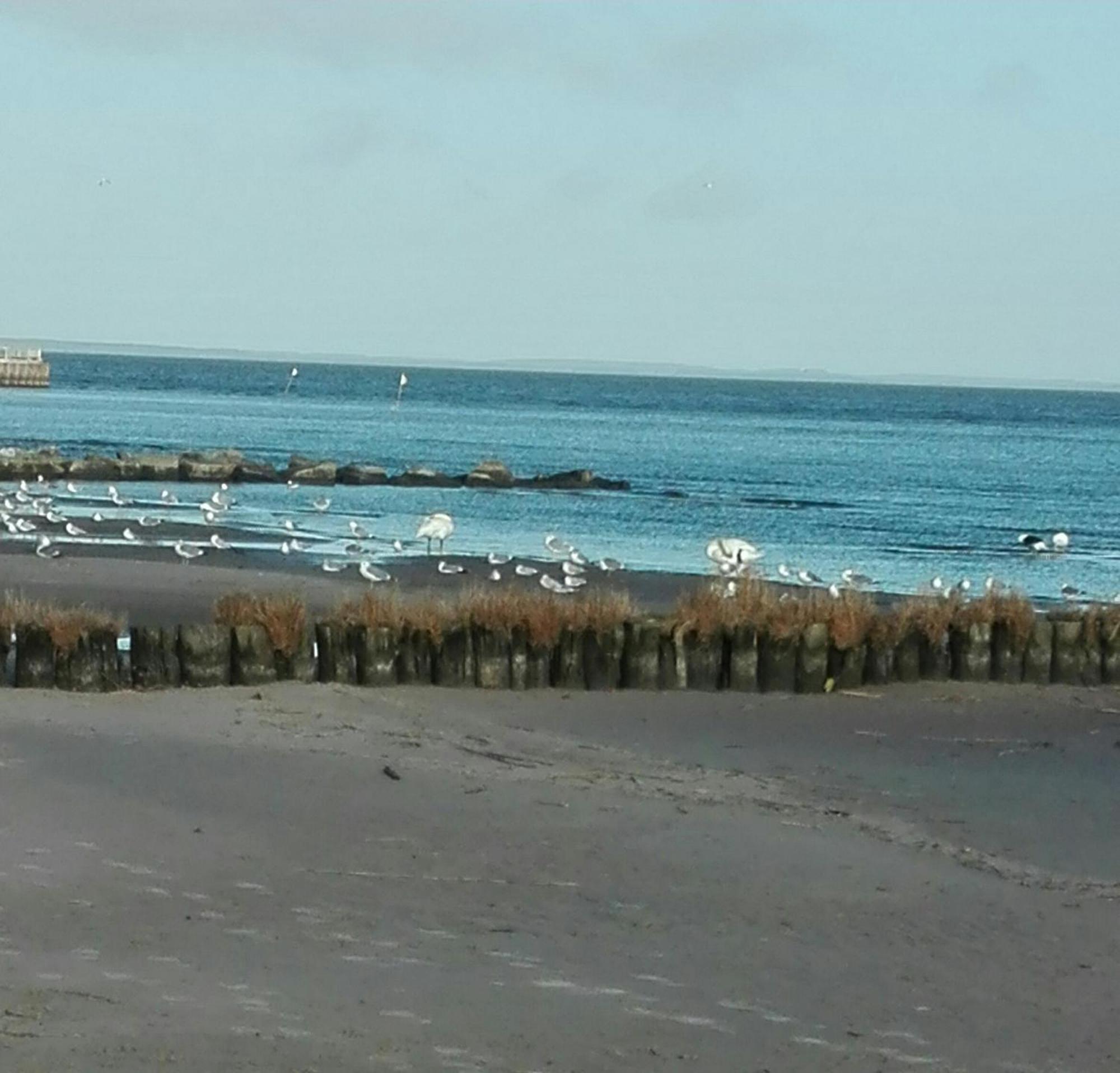 Fe'Wo, Strandnah, Stettiner Haff, Mecklenburg Vorpommern Ueckermünde Exterior foto